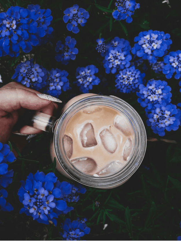 Image of a Honey Lavender Iced Latte from Coffeelink blog