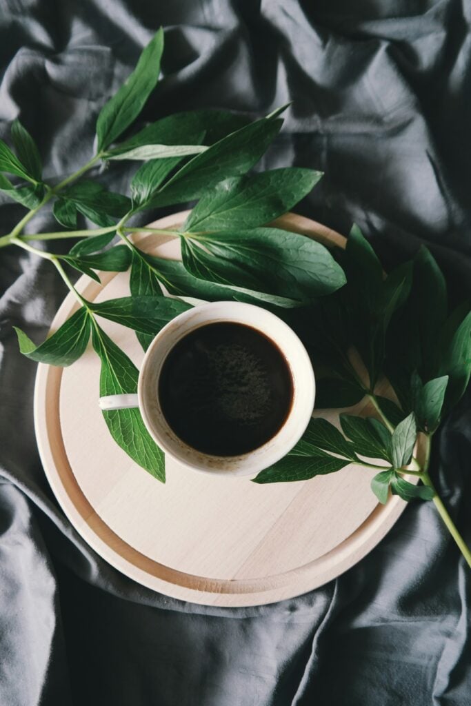 Image of a cup of black coffee surrounded by green leaves for Coffeelink's blog 5 Signs It’s Time To Switch To A Coffee Subscription 
